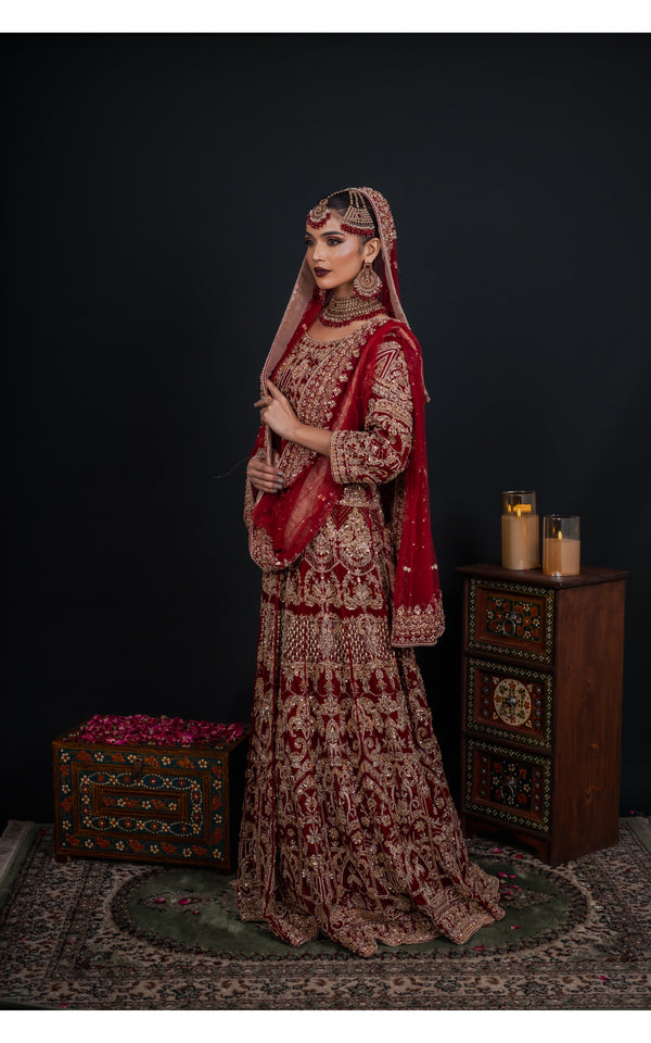 Velvet Drape (BL - 5390)